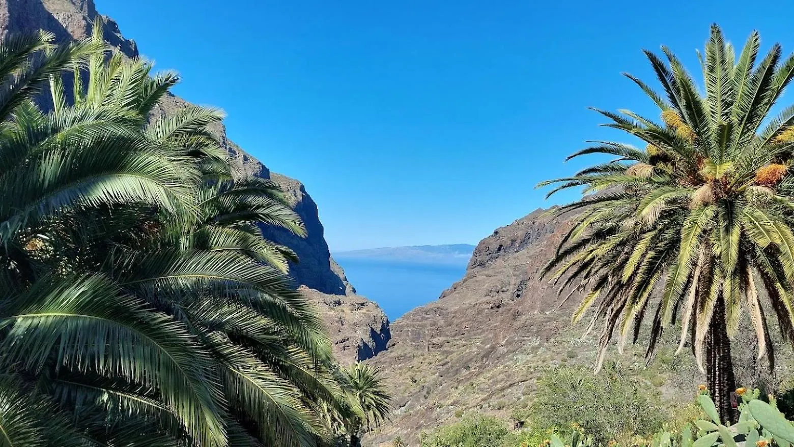 The Best Ocean View Playa de las Americas  0*, Playa de las Americas (Tenerife) Spain