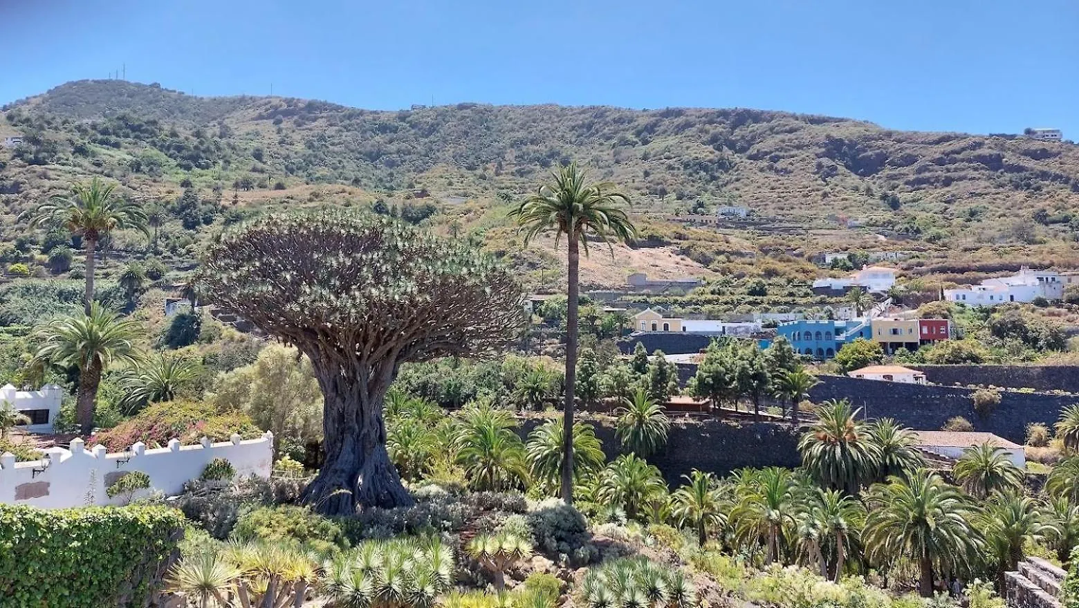 The Best Ocean View Playa de las Americas  Holiday home Playa de las Americas (Tenerife)
